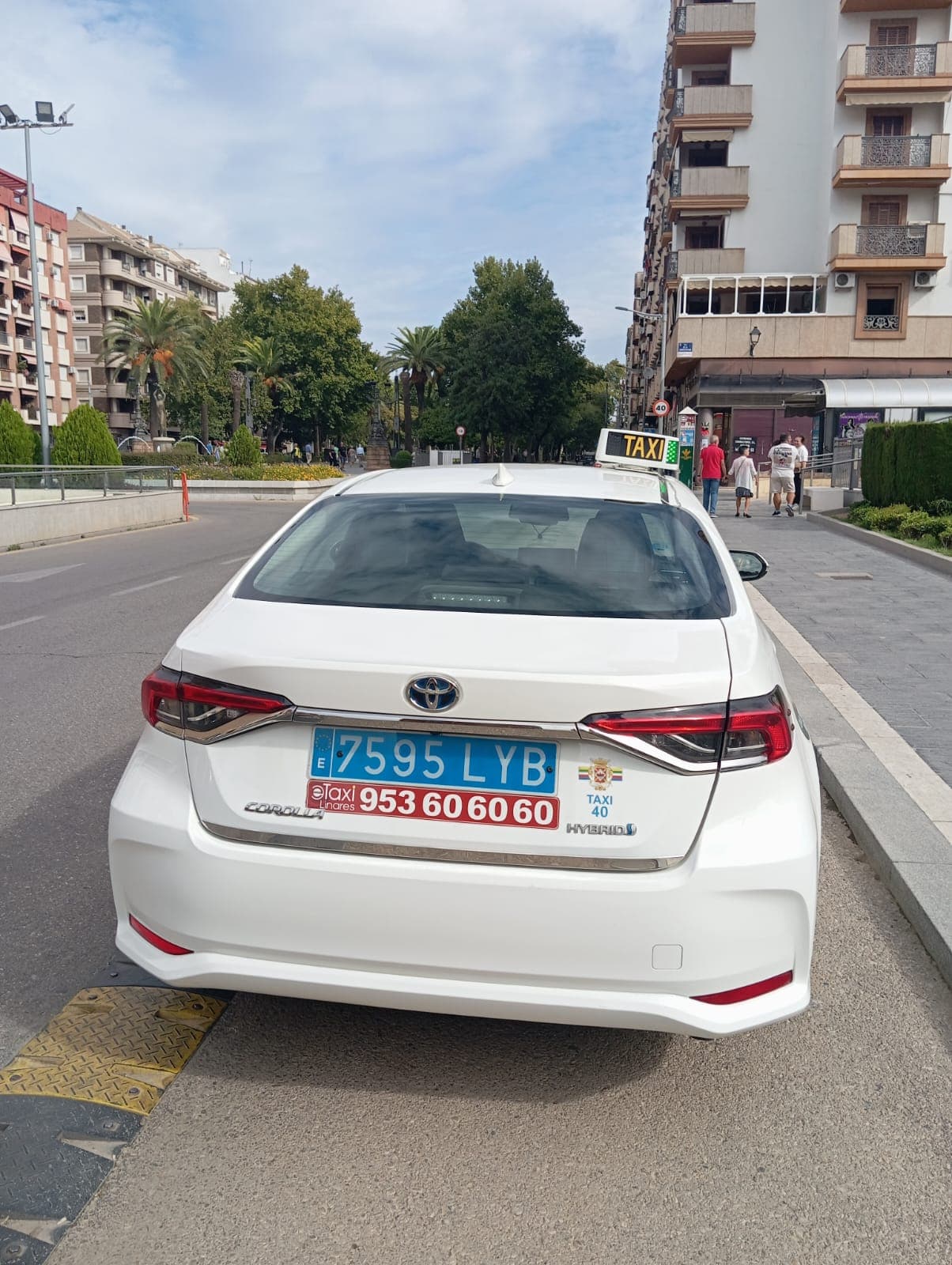 Taxi Nº40 Linares interior